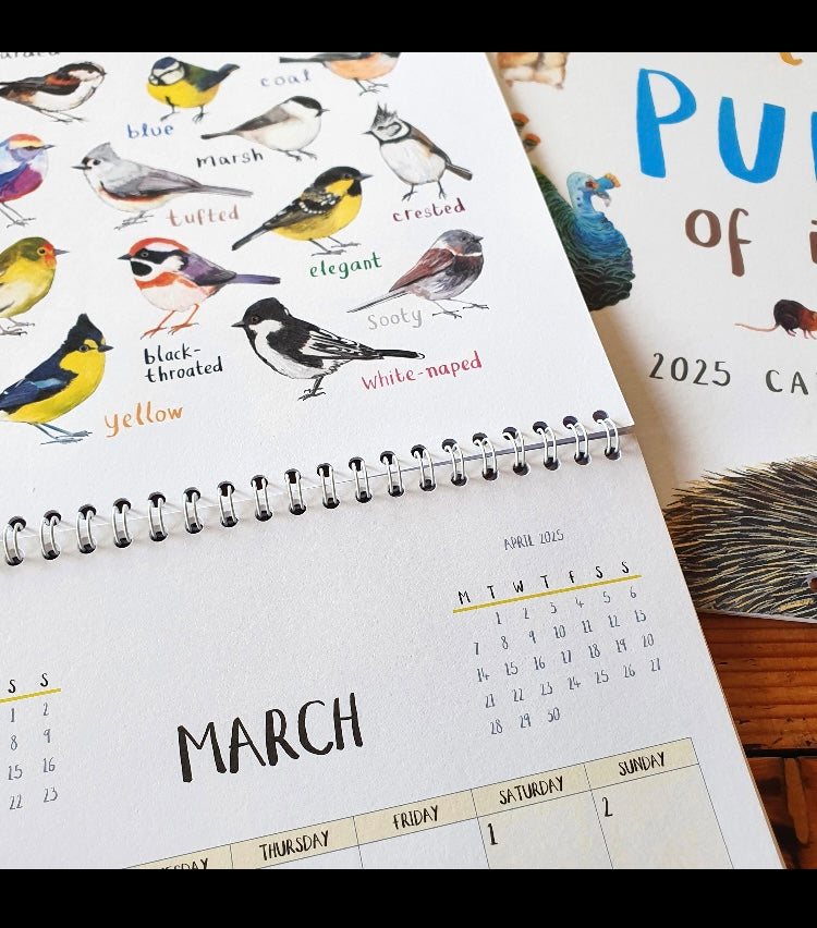 Sarah Edmonds for the pun of it Calendar 2025