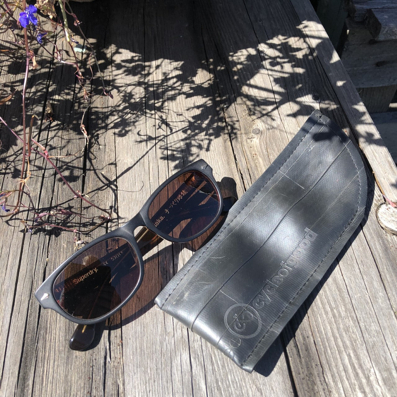 Cycle of Good Glasses Case