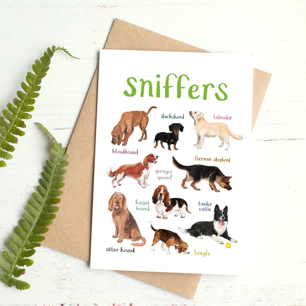 Sniffers Card