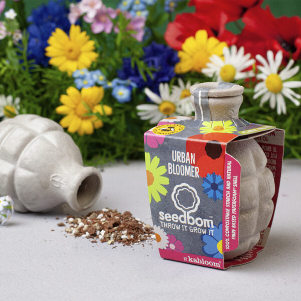 Urban bloomer seedbom