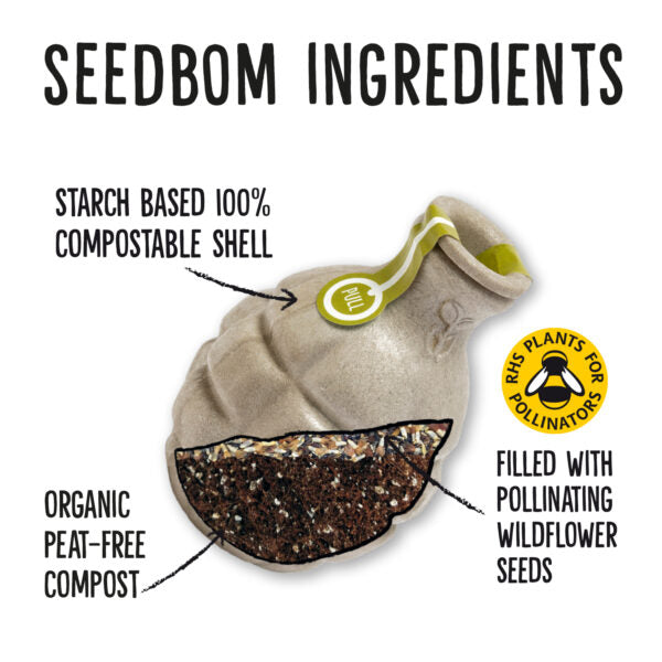 Urban bloomer seedbom