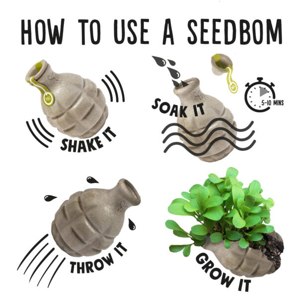 Urban bloomer seedbom