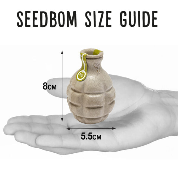 Urban bloomer seedbom