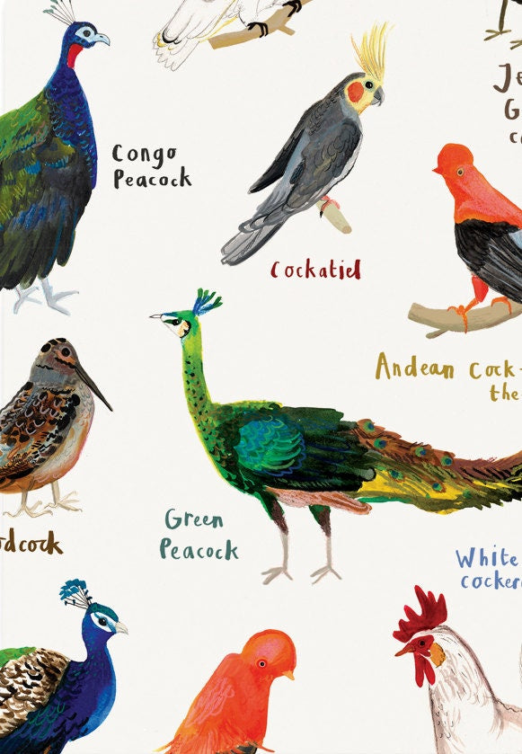 Sarah Edmonds Pun Of It A4 Cocks Print