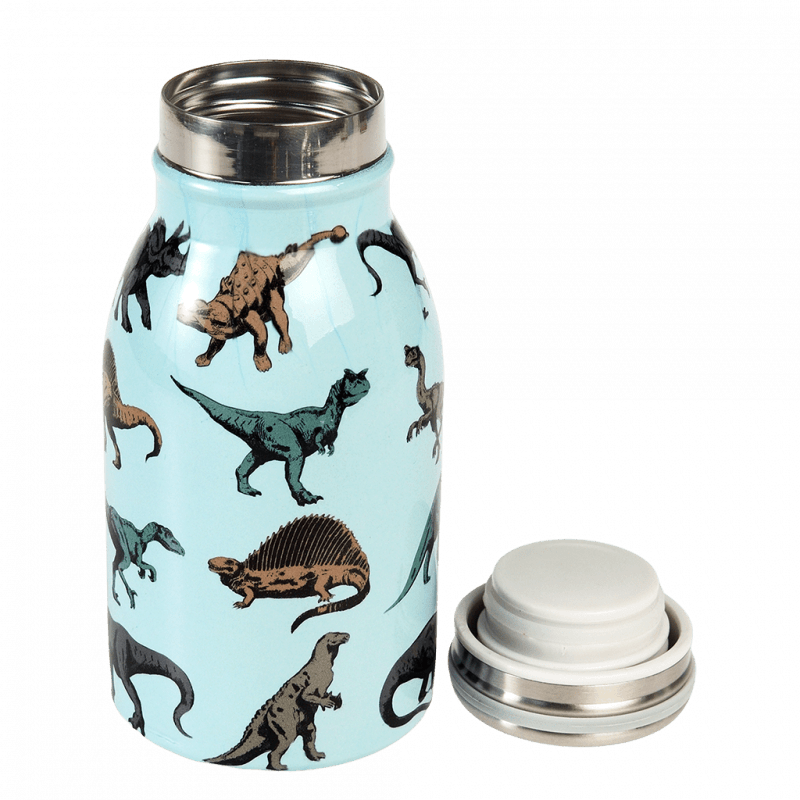 Dinosaur stainless steel drink bottle