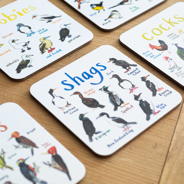 Shags cheeky bird coaster