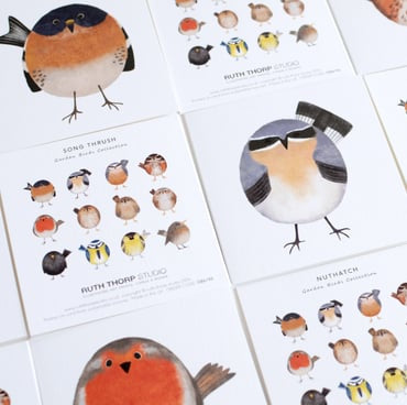 Garden birds boxed collection of 12 art cards