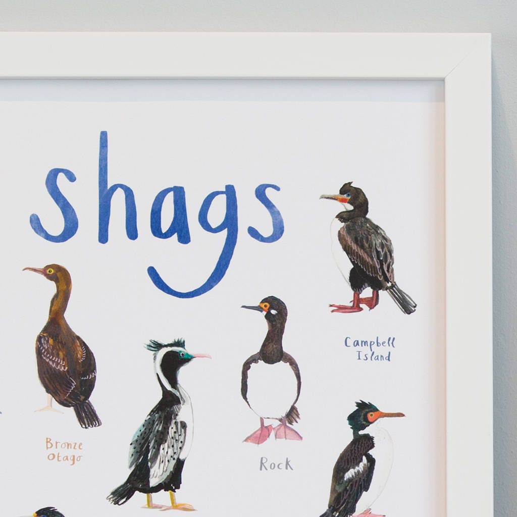 Shags coastal bird art illustration print a4