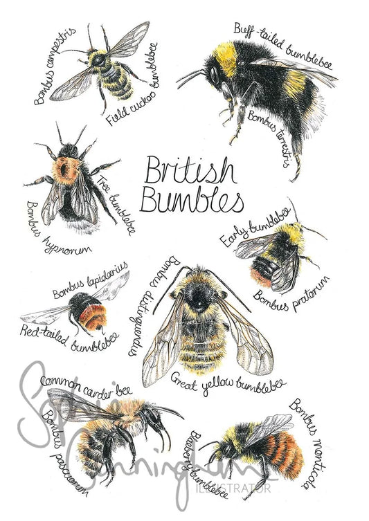 British Bumbles Art A4