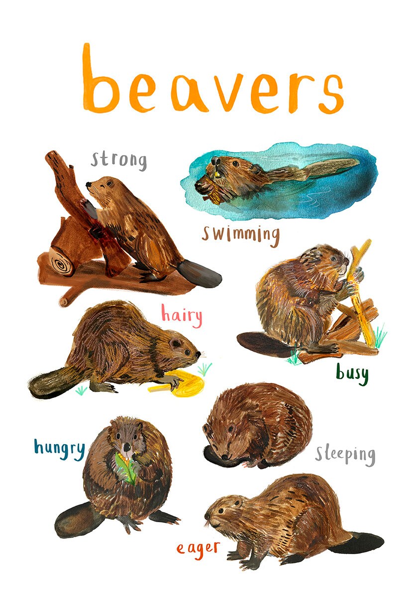 Sarah Edmonds A4 Pun Of It Beavers Print