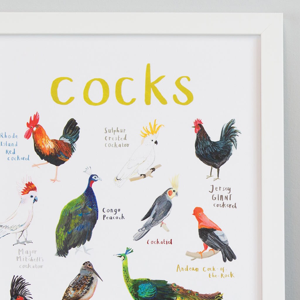 Sarah Edmonds Pun Of It A4 Cocks Print