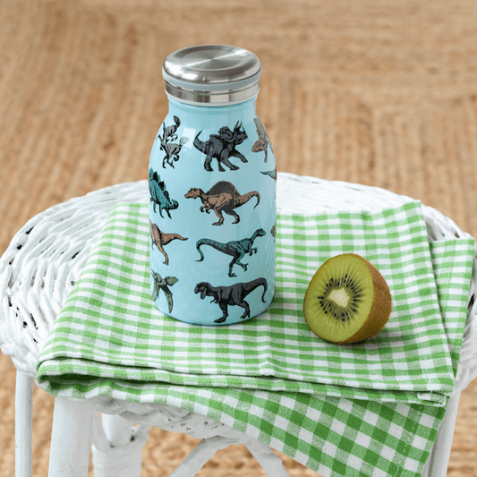 Dinosaur stainless steel drink bottle