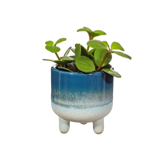 Sass & Belle Blue dip glaze boho style leggy planter