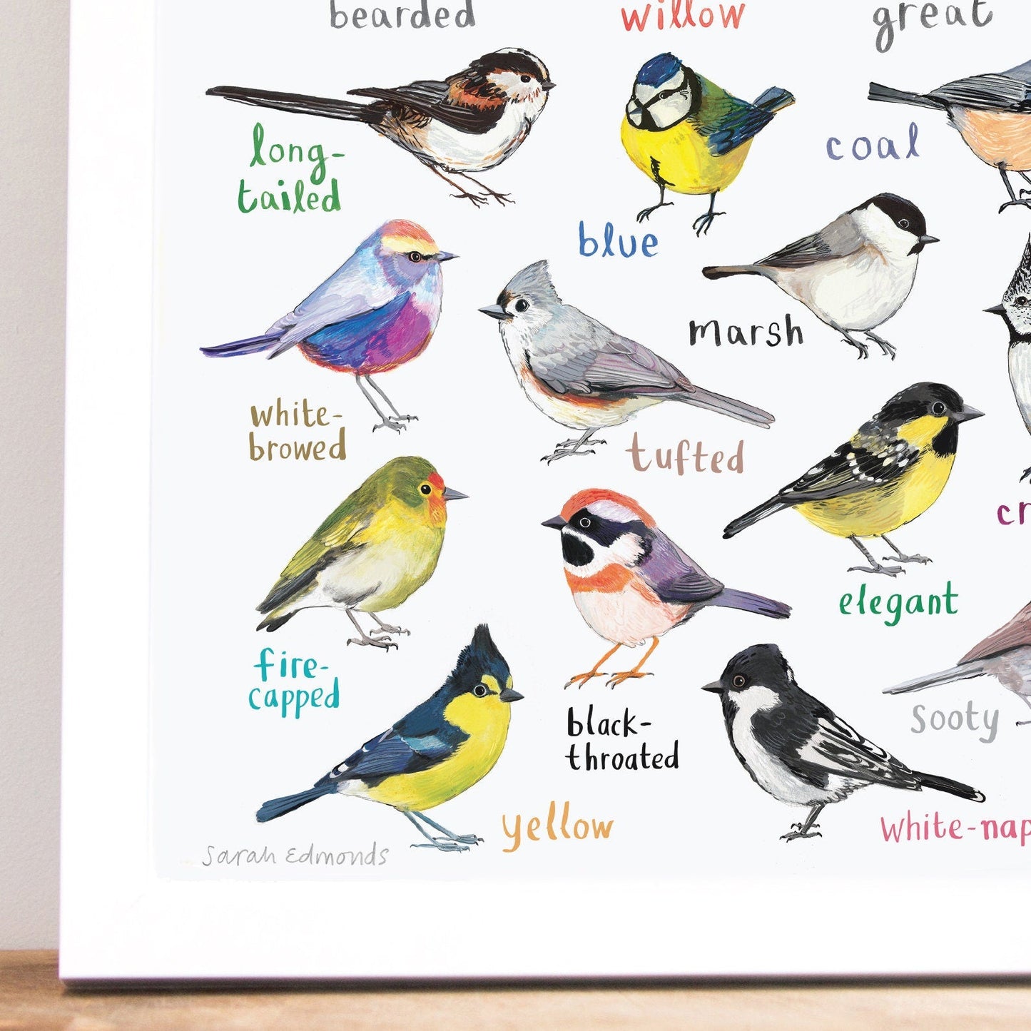 Tits garden bird art illustration print a4