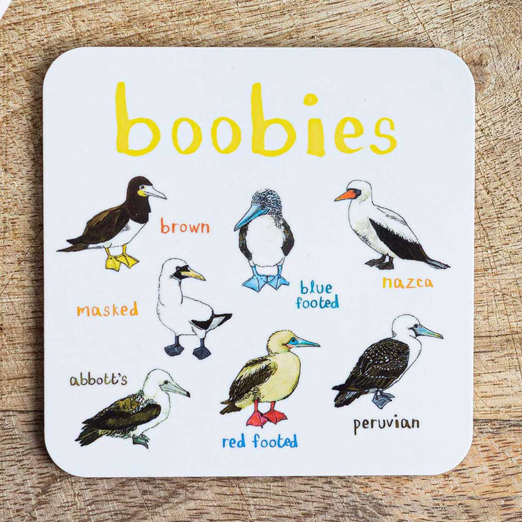 Boobies cheeky bird coaster