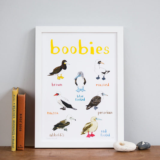 Boobies sea birds art illustration a4 print