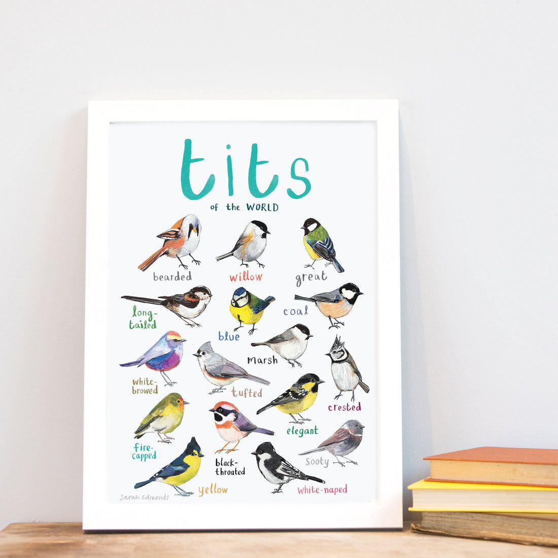 Tits garden bird art illustration print a4