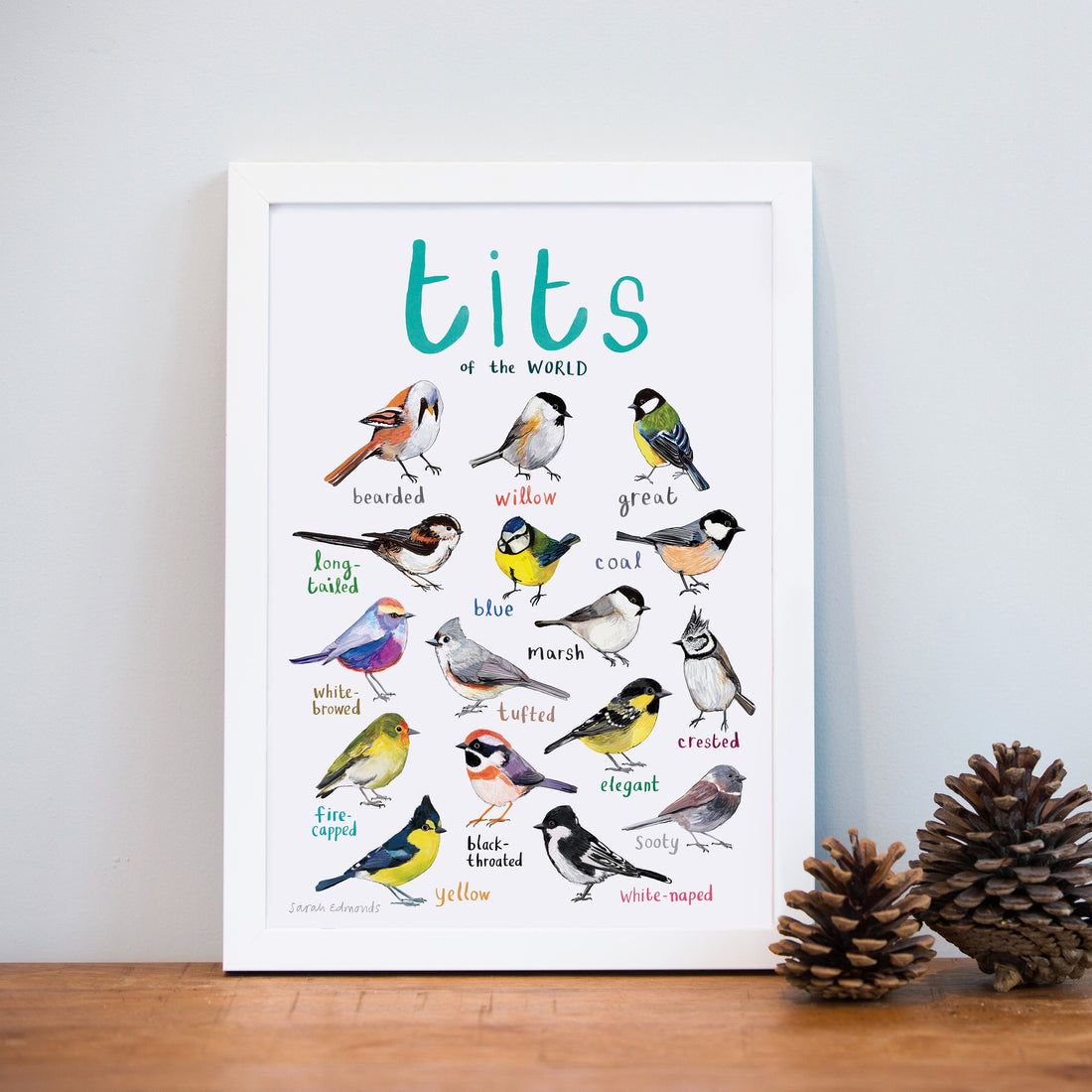 Tits garden bird art illustration print a4