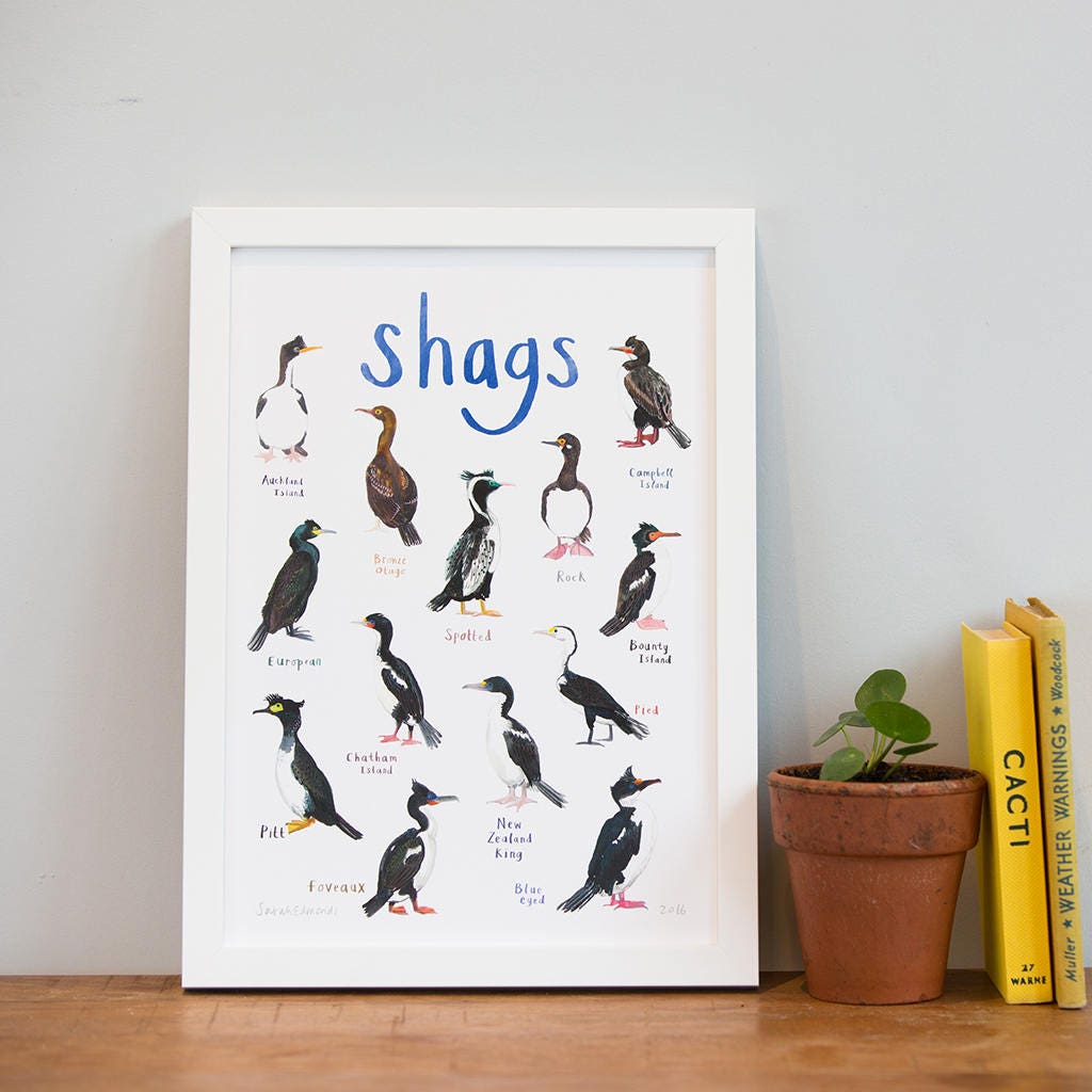 Shags coastal bird art illustration print a4